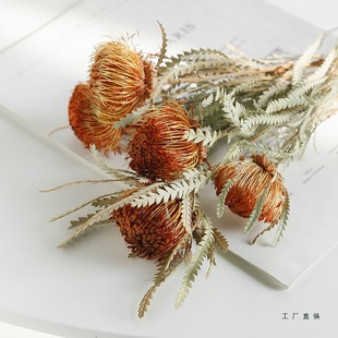 �滨�ɻ���֦�������W�tɽï��С�����͏d�Ӱ��g�b��[��