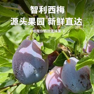 �������rˮ���b���m���������r���������ͶY