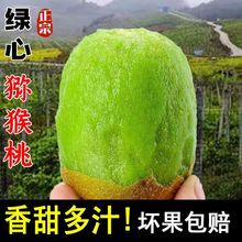 凤凰县米粮正宗绿心猕猴桃整箱当季水果单果90-110克