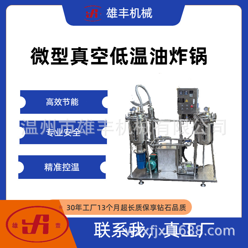 5L实验型小微型真空低温油炸锅肉类休闲食品油炸实验研发食品级