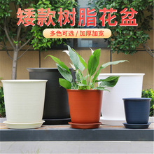 仿陶树脂花盆 大号加厚高矮款塑料花盆 创意绿萝大花盆厂家供应