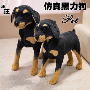 �羳���湷��ë�q��߹��к���������Ȯ�׸����_��Ȯ���ЏS�Ҵ��l