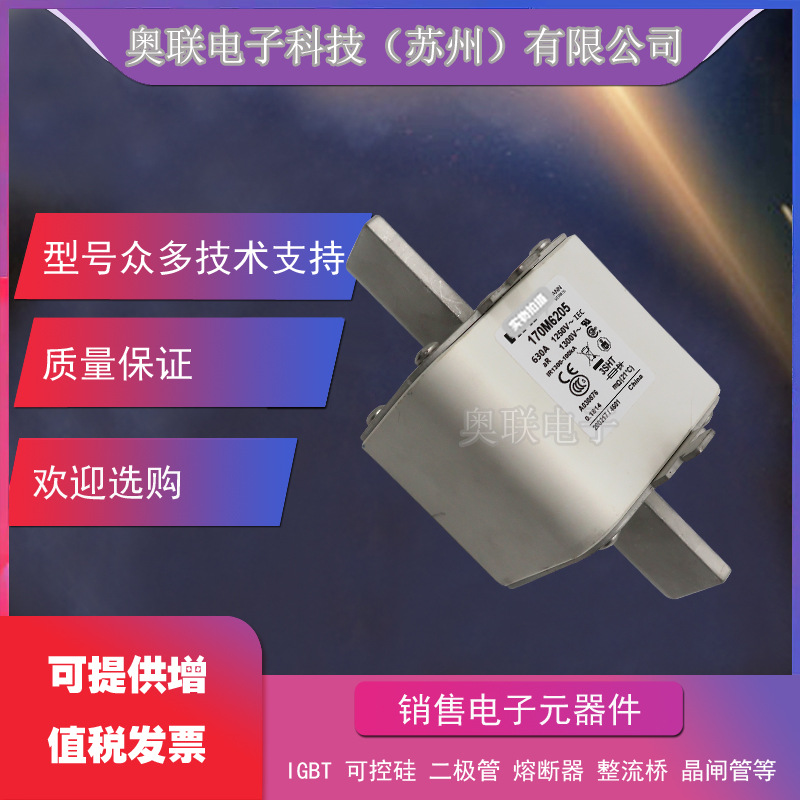 170M5741 170M5742 170M5743美国伊顿巴斯曼Bussmann熔断器