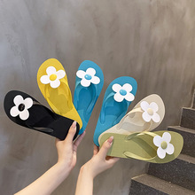 2025�¿�������ЬŮ�⴩�ļ��ɐۻ���r�аٴ�ƽ�׊A�_ɳ������Ь