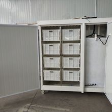 四川廠家供應豆芽機 大型全自動多功能商用豆芽機芽菜機 豆芽機價