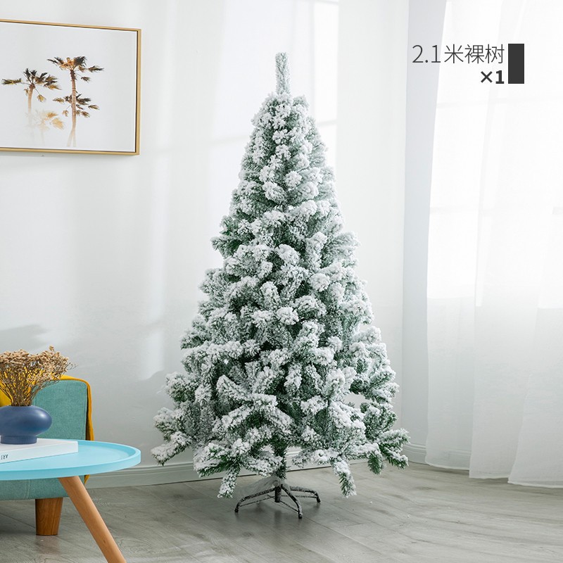 2.1m 벌거벗은 나무