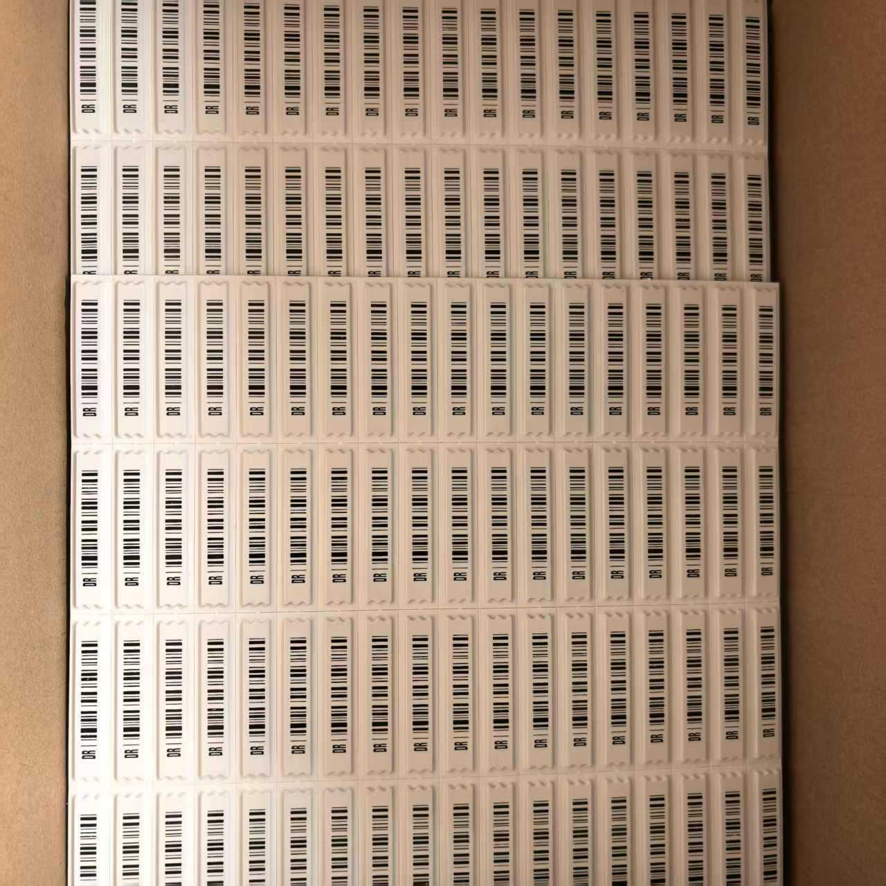 微信图片_202503071018152