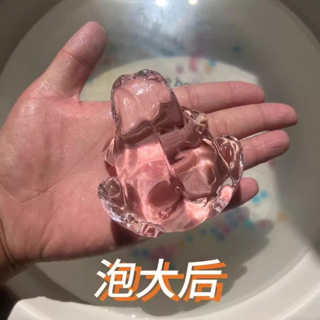 아기를 낳는 동물(무작위로 5개)