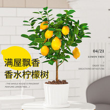 ��ˮ���ʘ���ˮ�����Կ�ʳ����Ý�����B�̨�ļ������҃ȾGֲ��