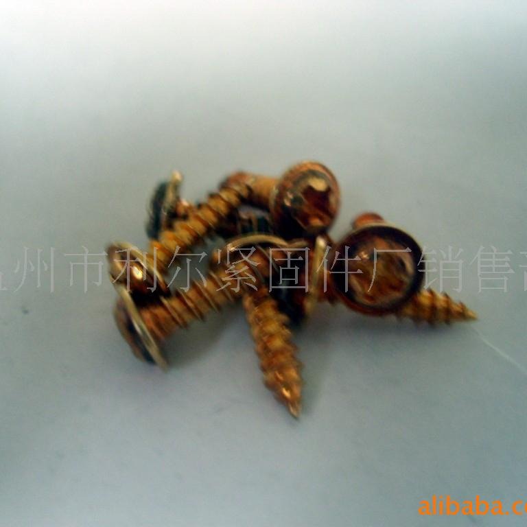 供应GB845十字盘头带垫自攻螺钉(图)