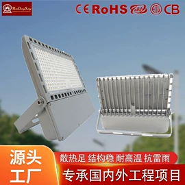 太阳能灯;路灯;投光灯