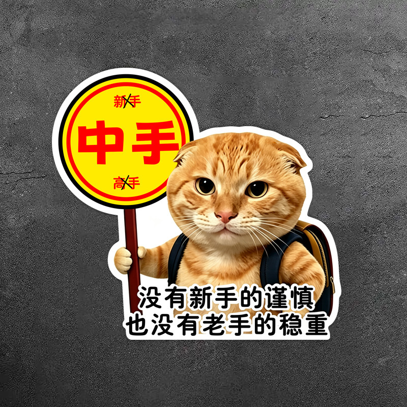 Magnetic sticker for elderly car, Hakimi personalized creative middle finger internship car sticker, car body decoration meme car decal