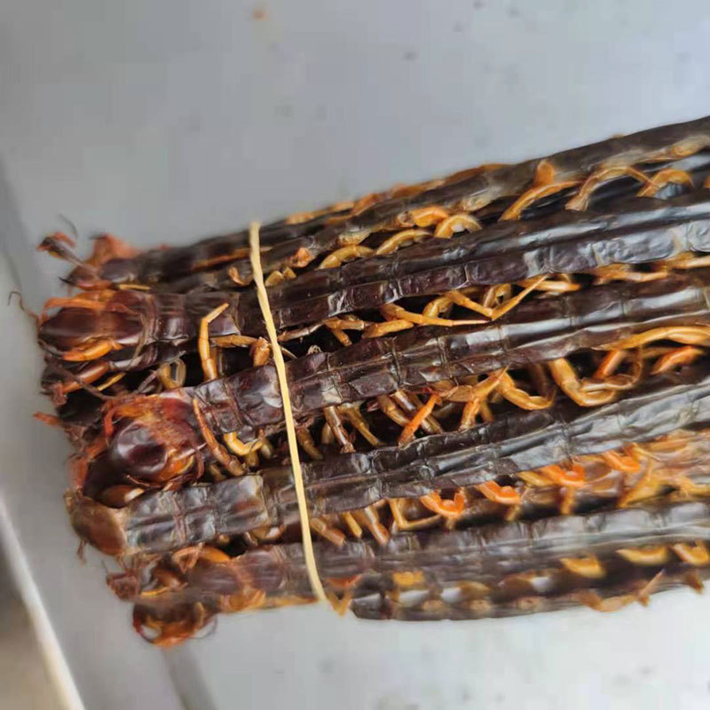 Dried Centipede Wu Gong Whole Herb 100g Traditional Chinese Medicine Ingredient quality and texture