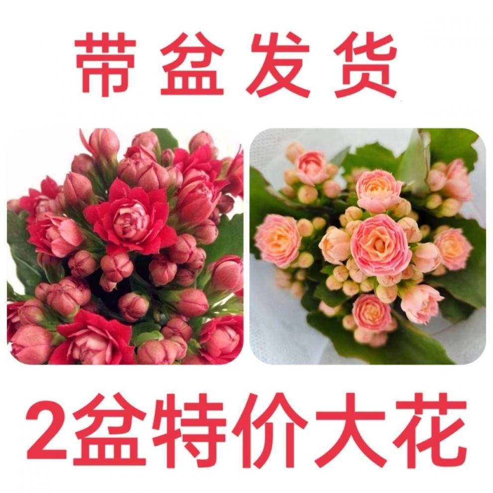 1e0d4a63-3e8b-4ba7-bcf5-b388fb5c63d4.jpe