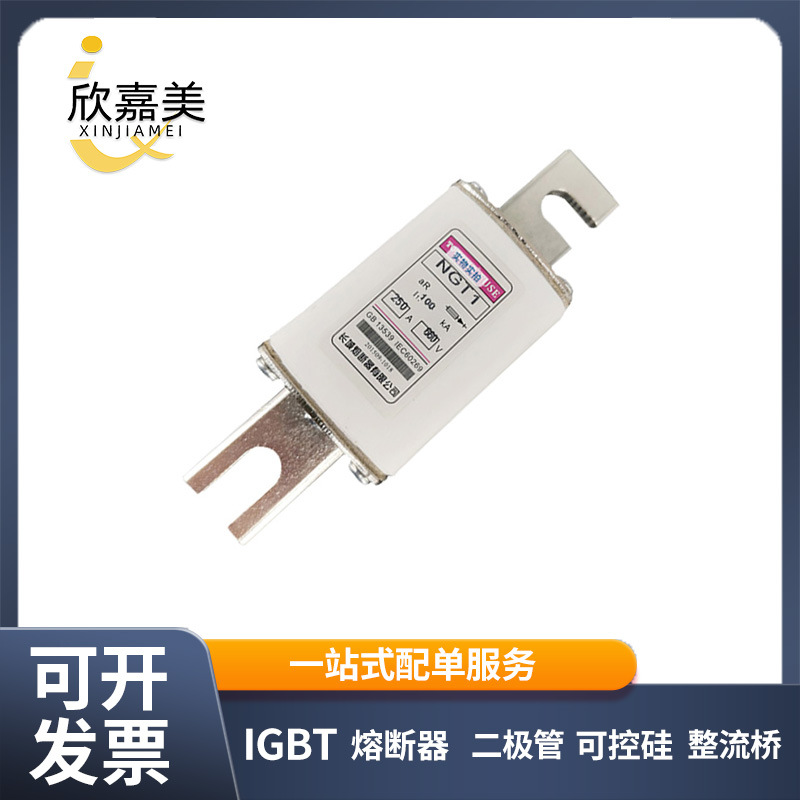NGT1  250A660V  快速熔断器 保险丝 全新原装 库存充足
