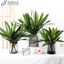 ����󻨻��m�~ ��c�Ҿ��b��m���~����ֲ�����Բ廨���l�羳