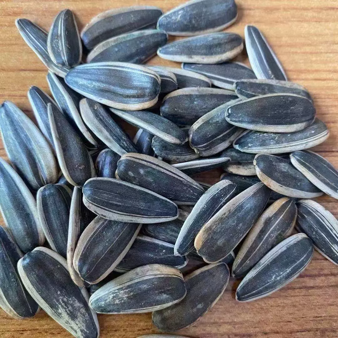 Семена подсолнечника пищевые, семена подсолнечника пищевые крупноквашечные, семена подсолнечника пищевые, которые легко выращивать, семена пищевых цветов для посадки на грядках.