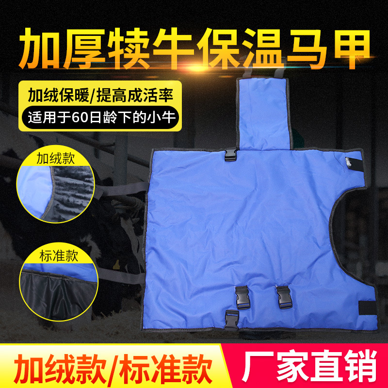 犊牛马甲犊牛服小牛保暖衣棉加厚防水布料牛马甲保暖外套幼牛