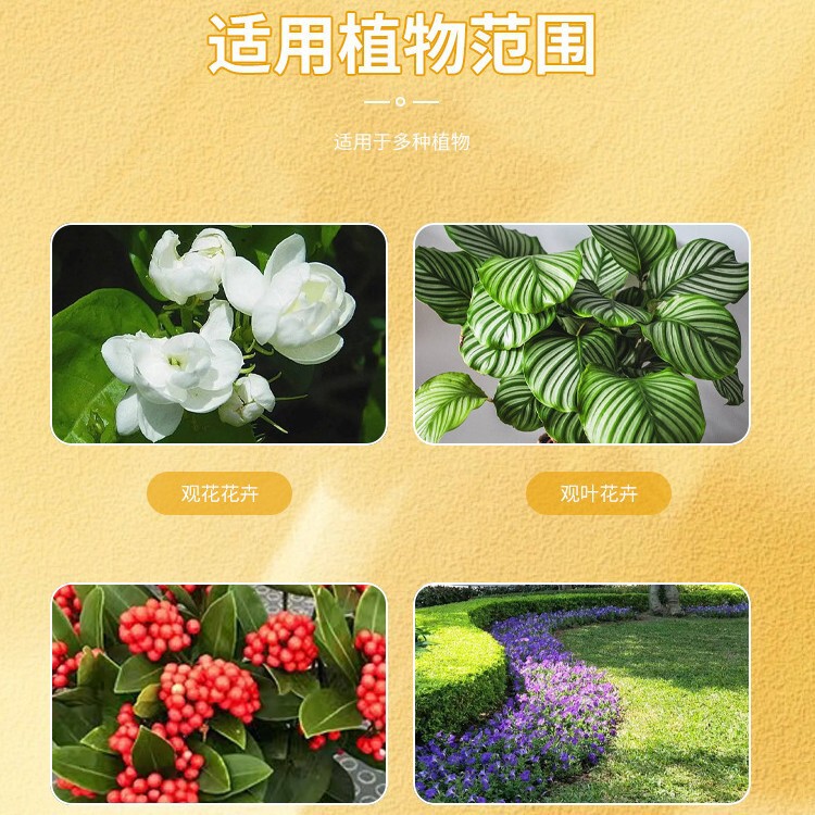 急速に花を咲かせます。|undefined