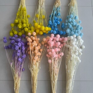 ���������^�L܇�����x���ɻ������廨DIY�Y����ļҾӲ��������