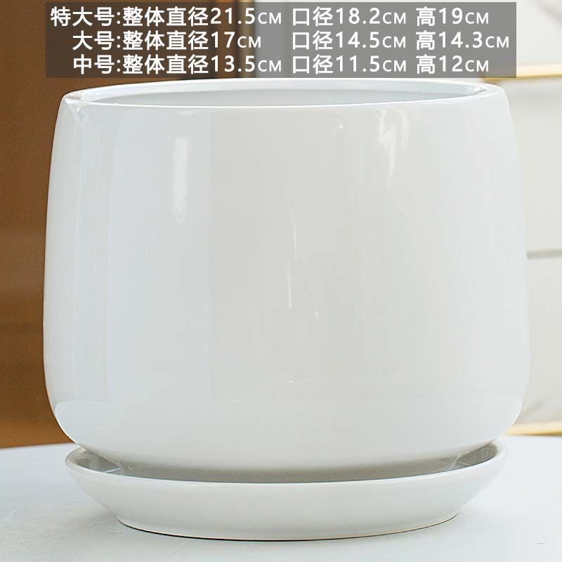 Pot de cerámica blanca simple, precio especial, gran tamaño extra grande con bandeja, personalidad doméstica, orquídeas colgantes verdes, carne