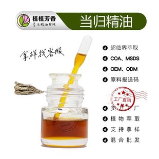 ���w�� ���R����ȡ���w���� Angelica root Oil ���w��ԭ�������l