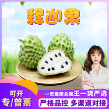 �����x���V�����a��ȹ� ���l3/5����^�����r����֦�P�殔��ˮ��