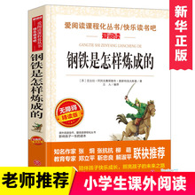 钢铁是怎样炼成的正版青少年成长励志小说儿童文学世界名著三