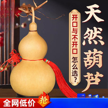 ��Ȼ���J�������J���Ї��Y�����_���T���T�͏d���P�[����̖����