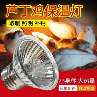 ���u���������J�Bֳ����ȡů���r����B���С�u���ر�ů�W�^
