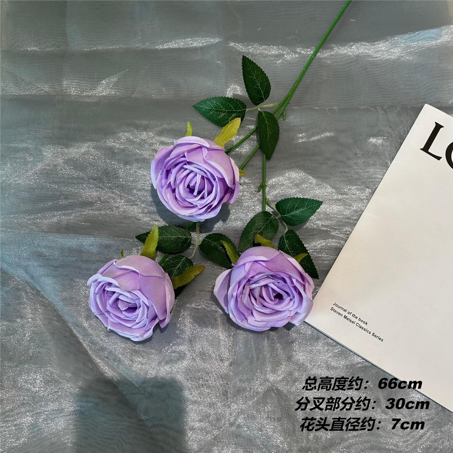 XH3 프린세스 로즈