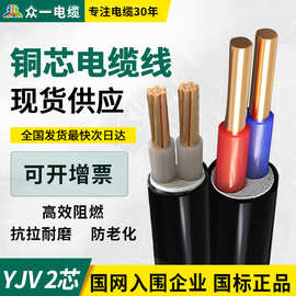 ZC-YJV电力电缆2芯*1.5/2.5/4/6/10/16/25/35/50/70平方 铜芯电线