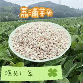 广西荔浦芋速冻芋头粒4厘丁 餐饮店面包点心食品厂原料