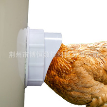 �羳DIY�uιʳ��������ݶ˿���������׼���Ͱˮ��ֱ�N 5 ��/��