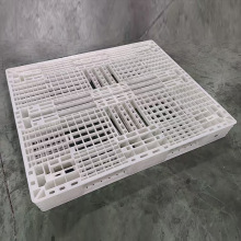 �S�����l�����бP �W�����������M�濨���������D�|�}��}�엣��