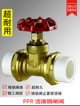 ppr���~�l�y��Ӽ����ԁ�ˮ���y�T�_�P����PPR�������y��ֹ�y���T