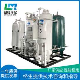 罗铭净化 PSA制氮机设备 食品级氮气机 激光切割用氮气发生器厂家