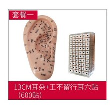 ���������Ѷ�Ѩ�N���N��Ħ��ģ�Ͷ���ģ��̽ᘶ����NѨλ�N����