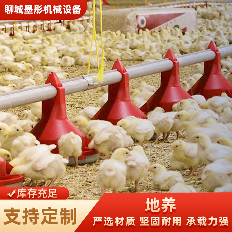 Línea de alimentación automática de gallinas de gallinas de engorde equipos de cría de pollos de engorde línea de agua potable para gallinas de pollo línea de alimentación automática personalizada