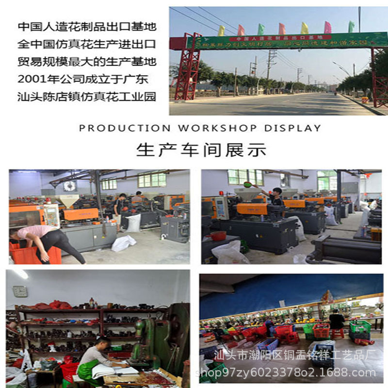 18257619608_1823197348