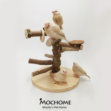 宠物玄凤虎皮牡丹鹦鹉鸟专用桌面互动实木游乐场玩具用品600g
