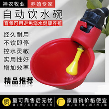 3鸡用自动饮水器鸭鹅鸽子饮水碗喝水碗雏鸡鸟饮水器鹌鹑家禽水碗