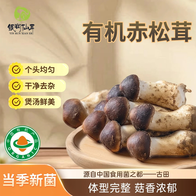 有机赤松茸大片球盖菇干货食用菌姬松茸雪山松茸煲汤火锅炒菜批发