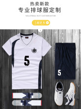 夏季排球服套装男专业气排球衣比赛运动训练队服女印字号团购