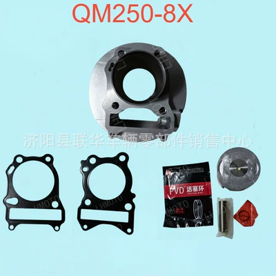 Bigfoot QM250-8X cylinder kit QM250GYGS250 engine cylinder block piston ring cylinder gasket piston kit (Motorcycle engine and accessories) - silver-cylinder-set