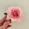 Розовый (уткообразный зажим)