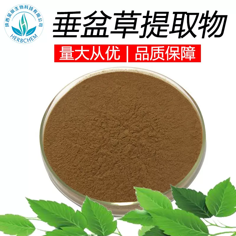 垂盆草提取物30:1 SC厂家现货包邮 食品保健品原料 山护花提取物