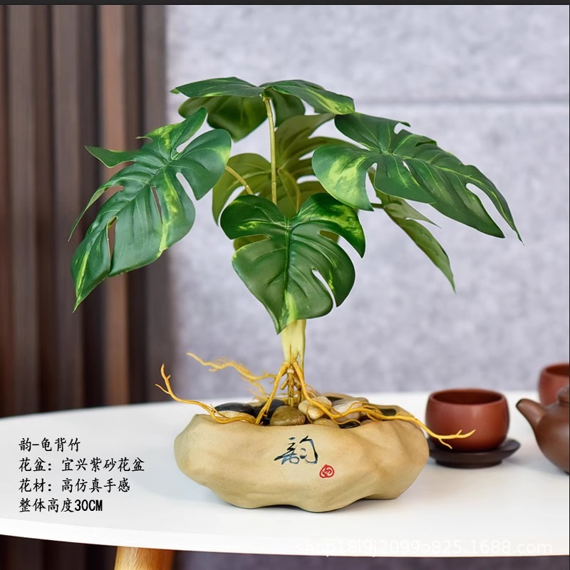운쯔모 화분 + 몬스테라
