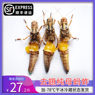 ���rΛ��ȥ�ἃĸ���x���M�і|���w�Ȼ��w����������xĸΛ��500g