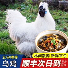 ���u���r�F��������u���u�r��ɢ�B�Ϟ��uĸ�u�Ҝ���ֻ���ڞ����u